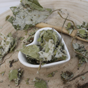 Jahodník obecný, jahoda – list  – Fragaria vesca – Folium fragariae 1000 g