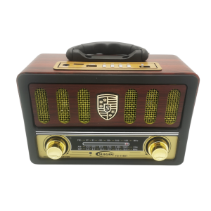 Bateriové rádio FM/AM/SW s připojením USB a AUX, MP3 přehrávač s dálkovým ovládáním, tmavě hnědá barva