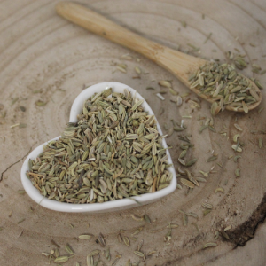 Fenykl obecný – plod celý – Foeniculum vulgare – Fructus foeniculi 1000 g