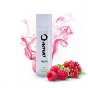 Vůně do auta ve spreji Aenso Smellike Polaris (500 ml)