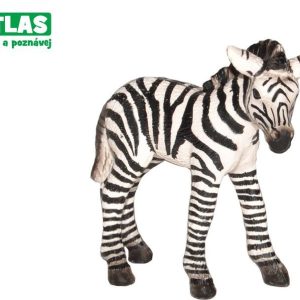 B – Figurka Zebra hříbě 7cm, Atlas, W101820