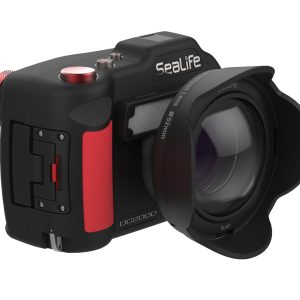 Sea Life 0.75x Sirokouhla Cocka