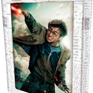 3D PUZZLE Harry Potter-Harry Potter 300ks, W019133