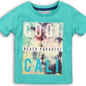 Tričko chlapecké s krátkým rukávem, Minoti, heat 1, zelená – 68/80 | 6-12m