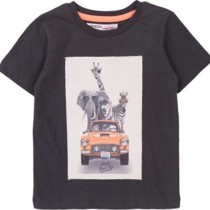 Tričko chlapecké s krátkým rukávem, Minoti, Really 7, šedá – 80/86 | 12-18m