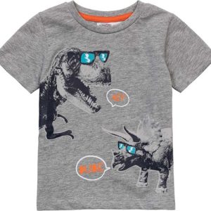 Tričko chlapecké s krátkým rukávem, Minoti, 9TTEE 2, šedá – 80/86 | 12-18m