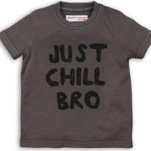 Tričko chlapecké s krátkým rukávem, Minoti, TIGER 4, šedá – 68/80 | 6-12m