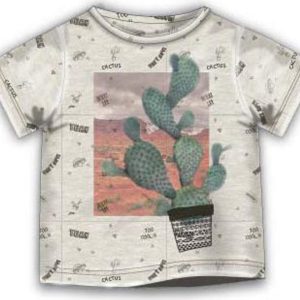 Tričko chlapecké s krátkým rukávem, Minoti, DESERT 3, šedá – 68/80 | 6-12m