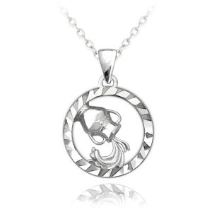MINET Stříbrný náhrdelník Zodiac znamení VODNÁŘ