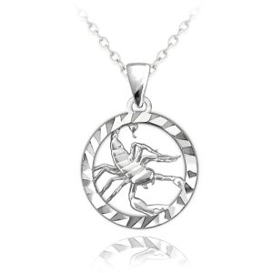 MINET Stříbrný náhrdelník Zodiac znamení ŠTÍR