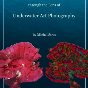 Letní Barevný Set Scubapro Trinidad, Apnea, Go Sport – žlutý