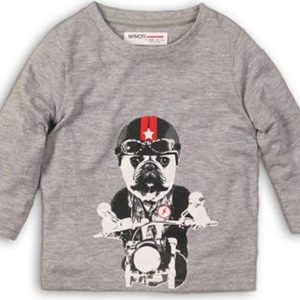 Tričko chlapecké s dlouhým rukávem, Minoti, BTEE 4, šedá – 68/80 | 6-12m