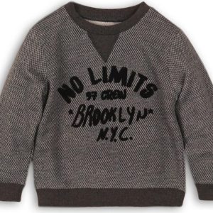 Mikina chlapecká, Minoti, LIMIT 11, šedá – 68/80 | 6-12m