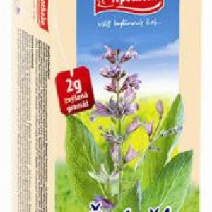 Apotheke Čaj Šalvěj lékařská sáč. 20×2 g