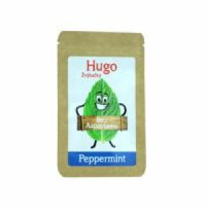 Žvýkačky Hugo Peppermint 6 ks