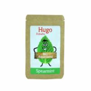 Žvýkačky Hugo Spearmint 6 ks