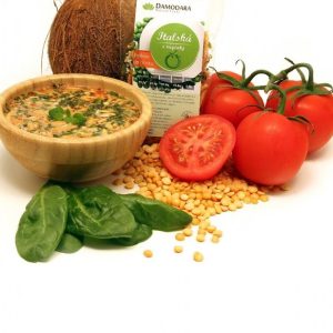 Damodara Instantní polévka do hrnku Italská s rajčaty 38g BLP