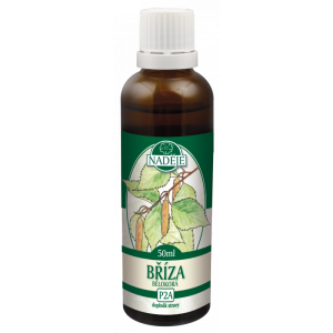 Naděje Tinktura z pupenů Bříza bělokorá 50ml
