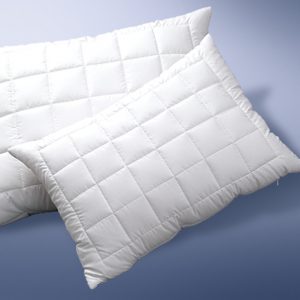 Picaso manufactury Vyvařovací polštář Clinisan Rozměr: 2ks 50x70cm zip+vak (500 g)