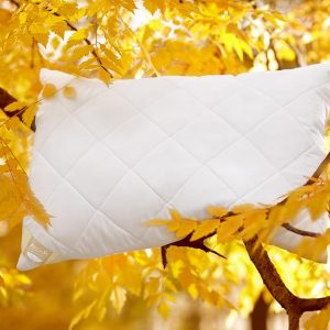 Picaso manufactury Polštář Aloe Vera pro hluboký spánek Rozměr: 50×70 cm zip+vak (400 g)