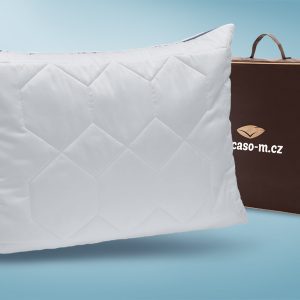 Picaso manufactury Polštář Traumwell Rozměr: 40×60 cm zip+vak (500 g), Taška: dárková hnědá taška na zip