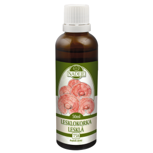 NADĚJE-PODHORNÁ Tinktura z bylin – Lesklokorka 50 ml