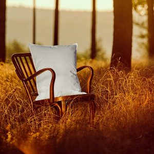 Picaso manufactury Péřový polštář Comfort s úpravou proti roztočům Rozměr: 2ks 50x70cm (600 g)