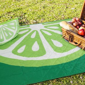 B.E.S. – Petrovice, s.r.o. Pikniková deka s taškou 120x160cm – Limeta