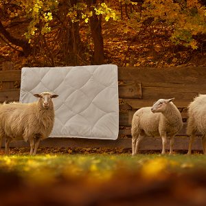 Picaso manufactury Vlněná přikrývka Komfort Wool Rozměr: 140×200 cm