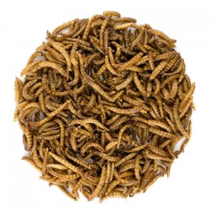 NUTSMAN Jedlí červíci se solí Množství: 20G