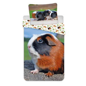 Jerry Fabrics s. r. o. Bavlněné povlečení 140×200 + 70×90 cm – Morče 02