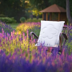 Picaso manufactury Polštář Levandule Rozměr: 50×70 cm zip+vak (670 g)