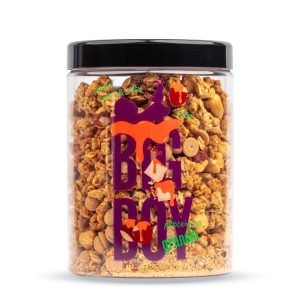 BIG BOY® Proteinová granola Sweet and Salty s příchutí slaného karamelu 360g